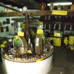 antico frantoio